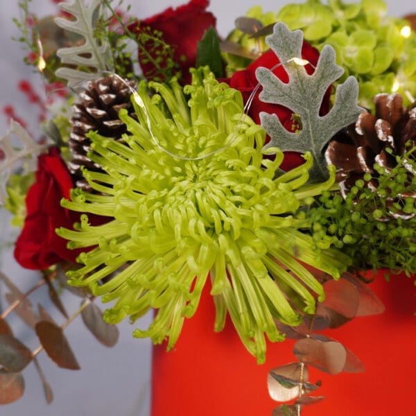 Yule Splendor Order Christmas Flowers Online with BTF.in