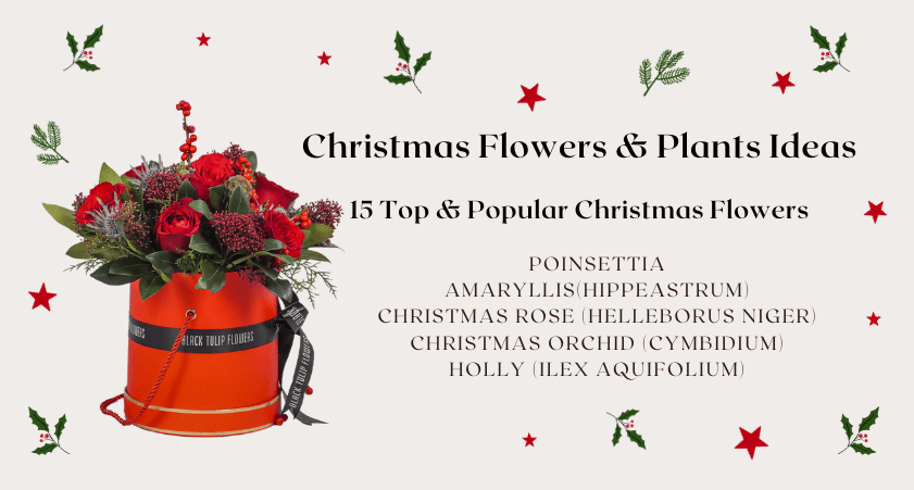 Flowers in time for hot sale christmas