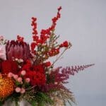 Harmony Bloom5