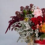 Harmony Bloom6