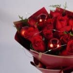 Scarlet Harmony5