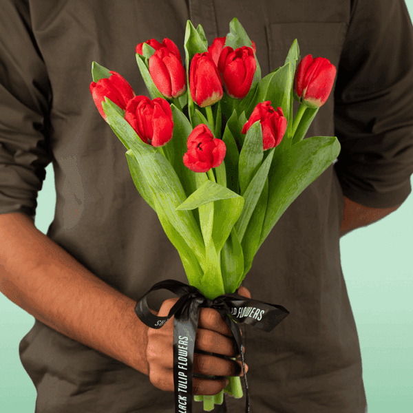 Dance of Red Tulip Flowers: Unchained Melody Tulips by BTF