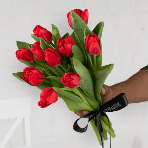 Dance of Red Tulip Flowers: Unchained Melody Tulips by BTF