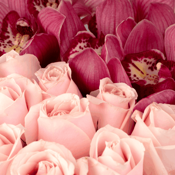 You are the woman - Order Flowers in a box, Rose Day Roses