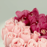 You are the woman (3)