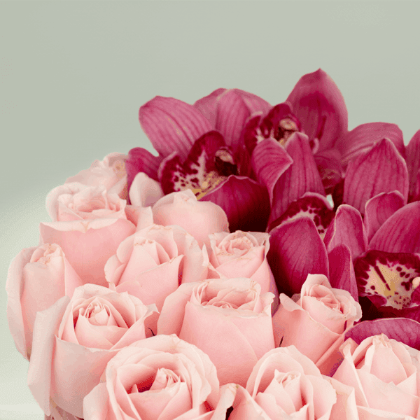You are the woman - Order Flowers in a box, Rose Day Roses