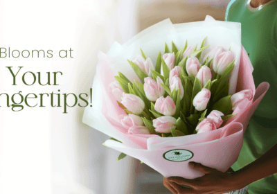 Flower Gift | 100+ Blooms at Your Fingertips | Order Now at Black Tulip Flowers