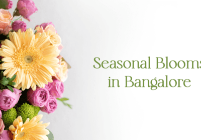 Top Best 7 Flower Delivery Service in Mumbai | Seasonal Blooms in Bangalore: A Guide to Year-Round Floral Delights"
