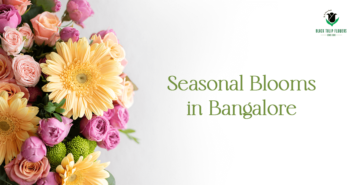 Top Best 7 Flower Delivery Service in Mumbai | Seasonal Blooms in Bangalore: A Guide to Year-Round Floral Delights"