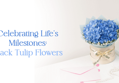 flowers in Mumbai delivery: The Best Flowers in Mumbai Delivery - Celebrating Life's Milestones Black Tulip Flowers