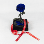 The Unexpected Blue - Preserved Rose
