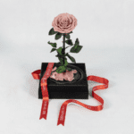 A Timeless Bloom - Preserved Rose