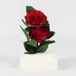Duo of Red - Preserved Rose - Preserved Flower: Explore Preserved Flower in Bangalore | Order Now at Black Tulip Flowers