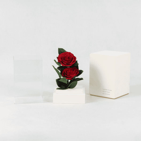 Duo of Red - Preserved Rose - Preserved Flower: Explore Preserved Flower in Bangalore | Order Now at Black Tulip Flowers