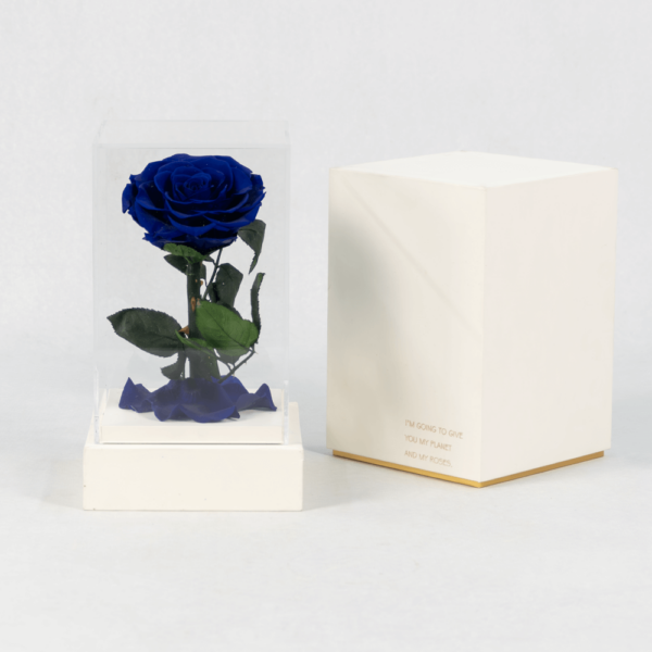 The Unexpected Blue - Preserved Rose : Explore Preserved Bouquet in Bangalore | Order Now at Black Tulip Flowers
