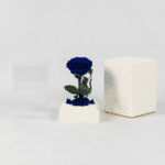 The Unexpected Blue - Preserved Rose
