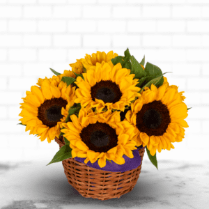 Where to Buy Sunflowers in Bangalore? Black Tulip Flowers Delivers Fresh Sunflowers Today!