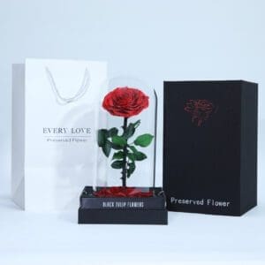 Bleeding Heart - Preserved Rose : Explore Preserved Flower in Bangalore | Order Now at Black Tulip Flowers