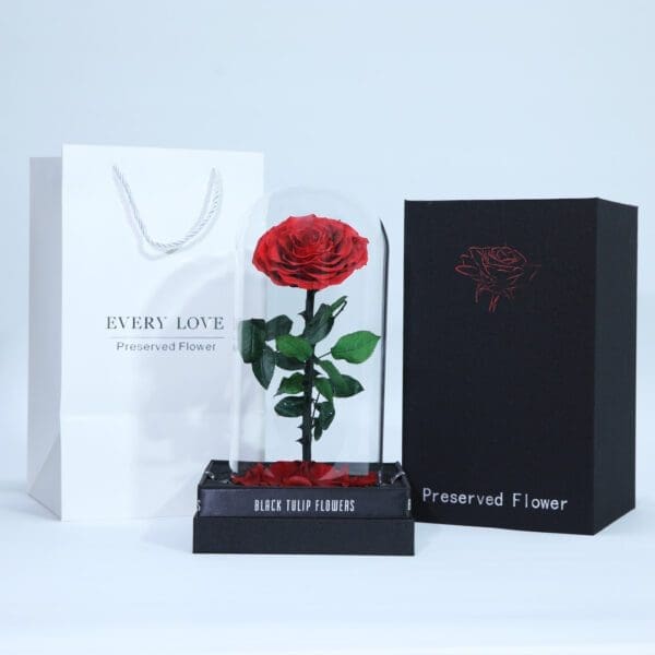 Bleeding Heart - Preserved Rose : Explore Preserved Flower in Bangalore | Order Now at Black Tulip Flowers