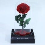 Bleeding Heart - Preserved Rose : Explore Preserved Flower in Bangalore | Order Now at Black Tulip Flowers