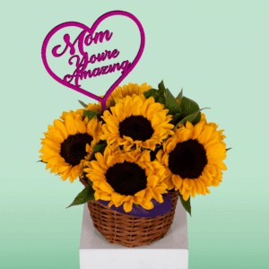 Where to Buy Sunflowers in Bangalore? Black Tulip Flowers Delivers Fresh Sunflowers Today!