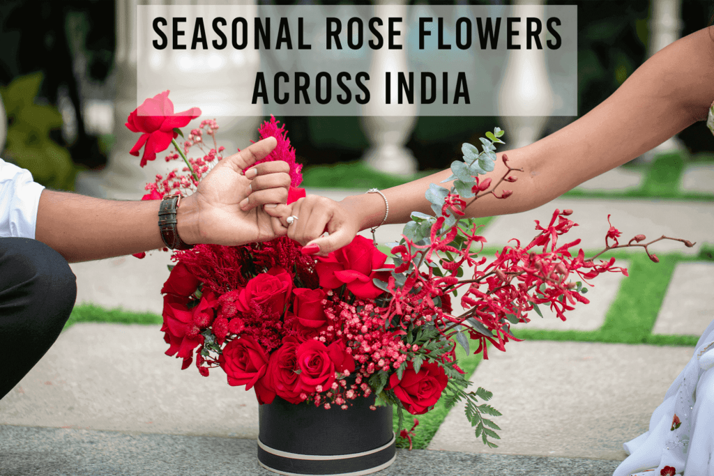 Rose Bouquet Delivery - Seasonal Rose Flowers Across India - Order Now at BTFI 2024