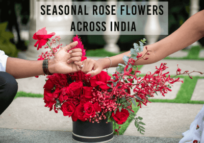 Rose Bouquet Delivery - Seasonal Rose Flowers Across India - Order Now at BTFI 2024