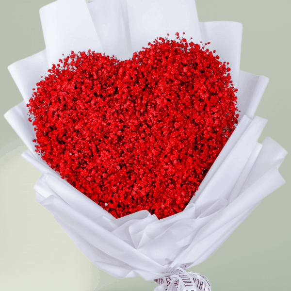 Heart Shaped Flower Arrangement - Fresh Gypso Heart Flower for Every Occasion - Order Now at BTFI"