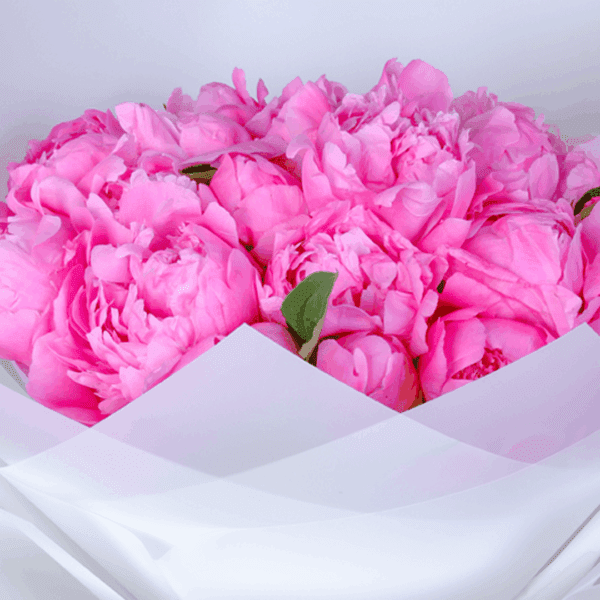 Peony Bouquet Delivery In Bangalore | Order Now Pink Peony Bouquet | Order Now at BTFI