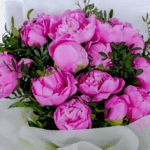 Pink Peony Delight (2)