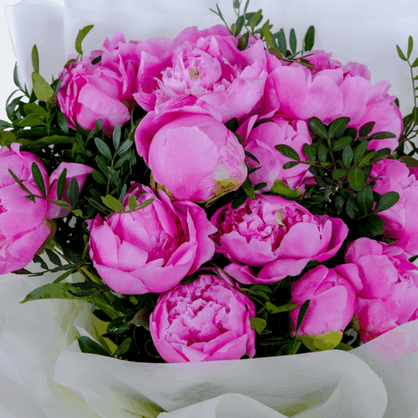 Pink Peony Delight (2) Pink Peonies Bouquet In Bangalore | Order Now Pink Peony Delight | Order Now at BTFI