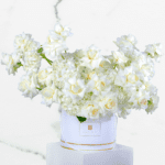 Pure White Rose Arrangements - White Rose & Hydrangea Arrangements - Order Now at BTFI