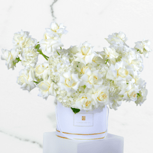 Pure White Rose Arrangements - White Rose & Hydrangea Arrangements - Order Now at BTFI