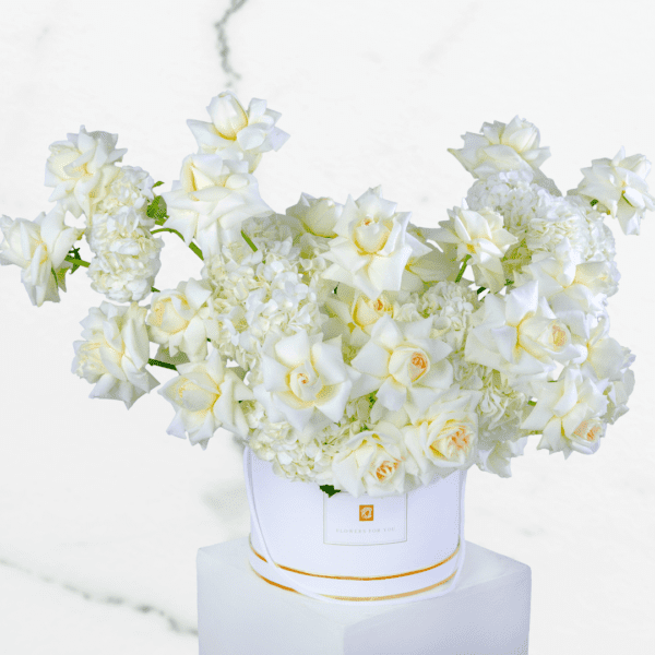 Pure White Rose Arrangements - White Rose & Hydrangea Arrangements - Order Now at BTFI