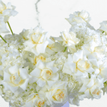 Serene White Box (3)