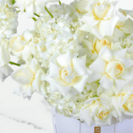 Serene White Box (4)