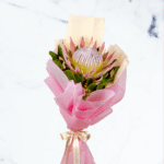 Protea Flower Delivery in India | Singular Beauty for Every Occasion | Order Now at BTFI