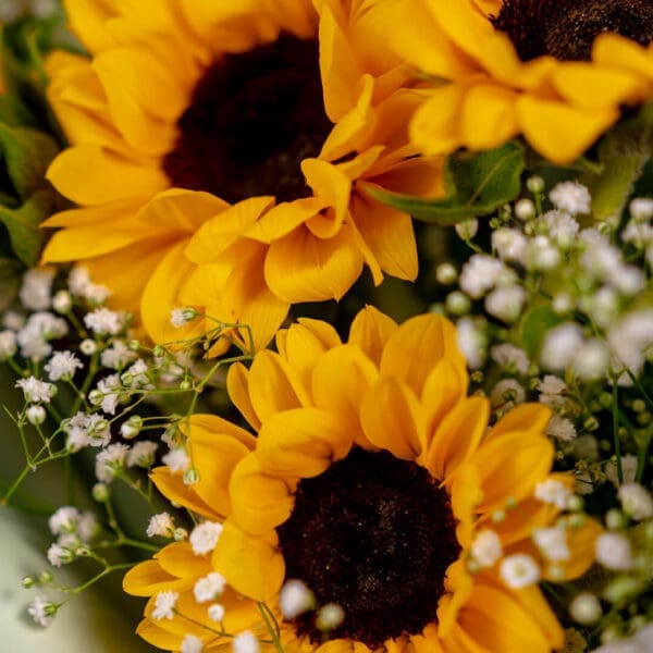 Sunflower Bouquet Same Day Delivery - Sunny Smiles Delivered: Order Your Sunflower Delight Bouquet Today