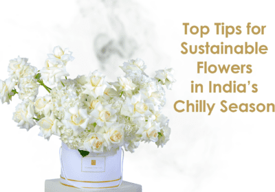 The Best Seasonal Flower Bouquets - Top 10 Tips for Sustainable Flowers in India’s Chilly Season