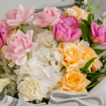Pastel Dreams (4)