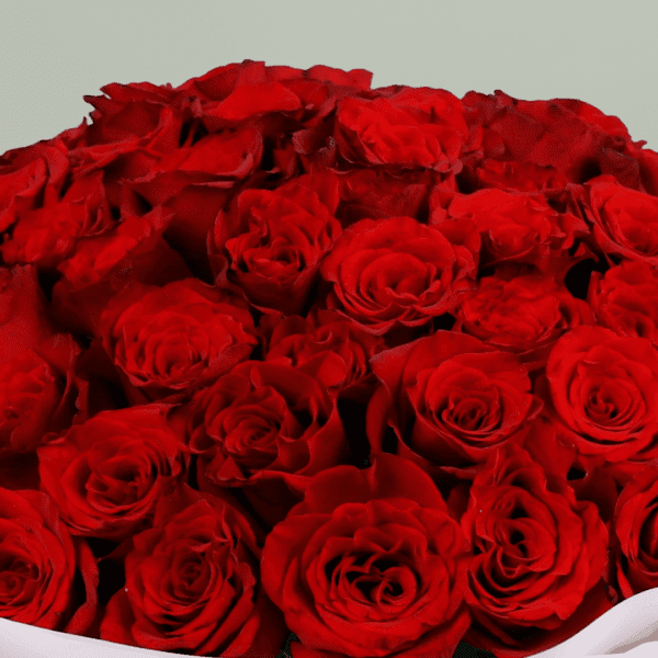 Heartfelt bouquet of red roses tied with a satin ribbon.