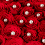 A Heart of Pearls Stunning (4)