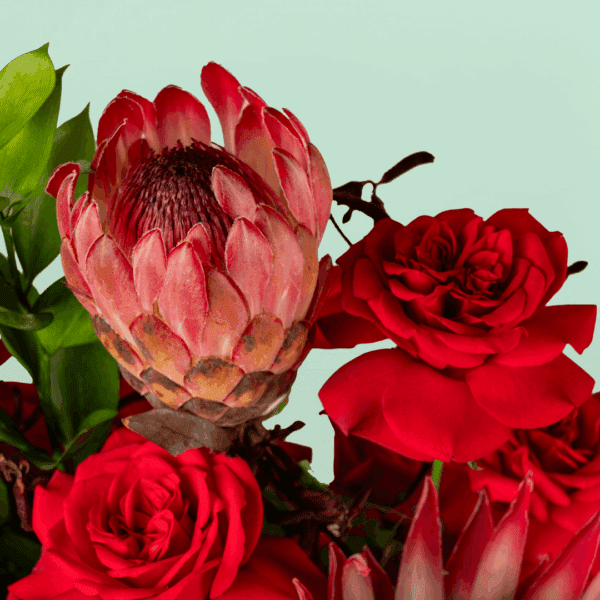 A Love Story (3) "A Love Story: The Perfect Valentines Gift Box with Black Tulip Flowers"