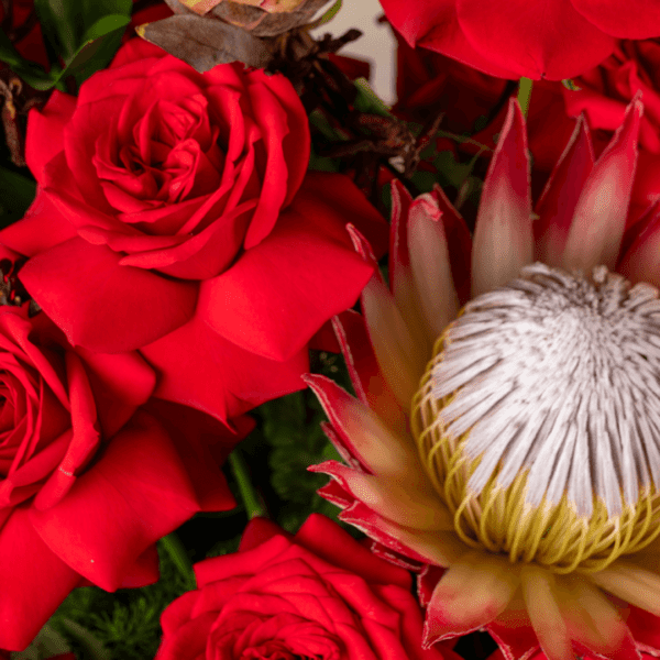 "A Love Story: The Perfect Valentines Gift Box with Black Tulip Flowers"