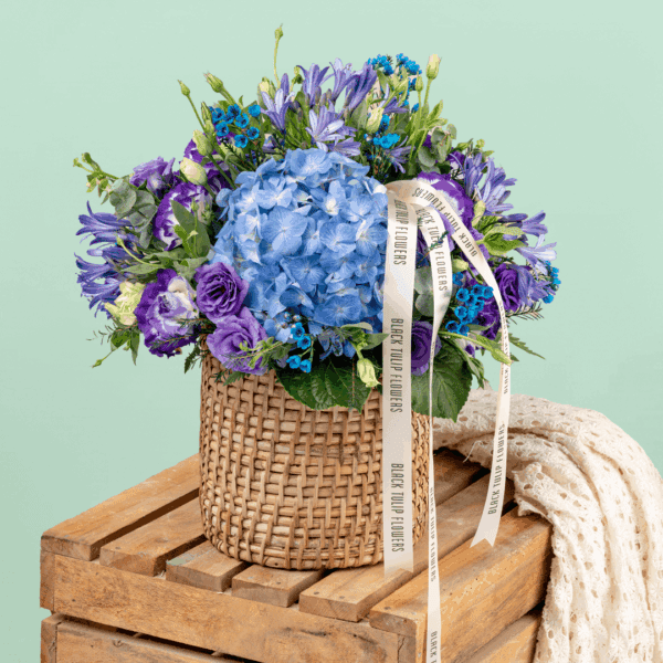 Blue hydrangeas with purple flowers