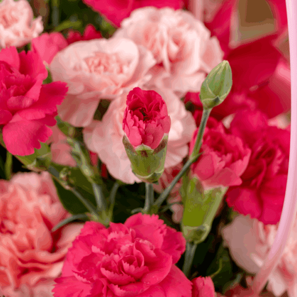 Bloom Bag - Elegant Bouquet for Valentine's Day - Order Now