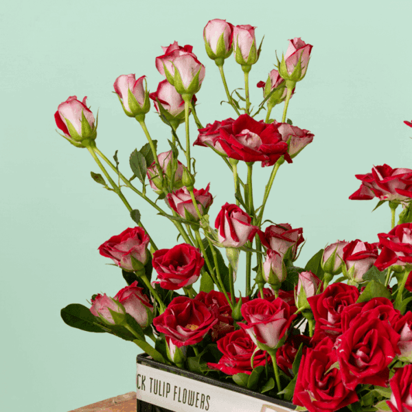 "Bouquet for Valentine's - Stunning Black Tulip Flowers - A Perfect Expression of Love's Obsession"