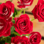 Love's Obsession (4)