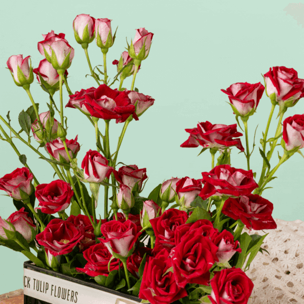 "Bouquet for Valentine's - Stunning Black Tulip Flowers - A Perfect Expression of Love's Obsession"