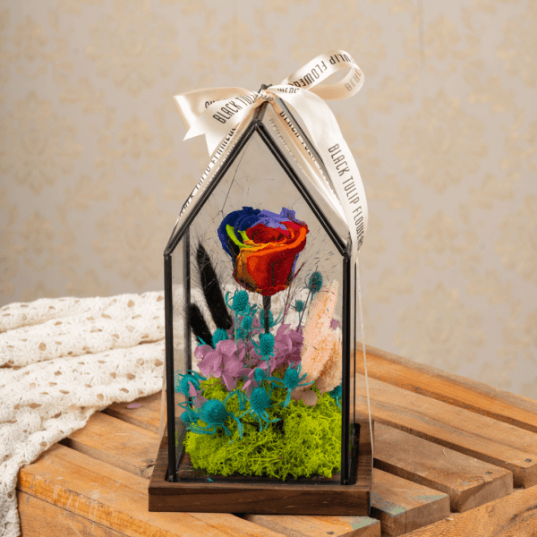 Persevered rose - Rainbow Delight | Black Tulip Flowers